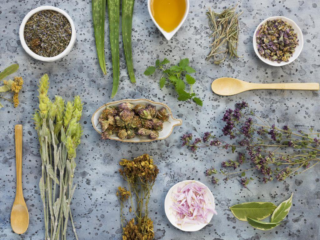 Ontdek de smaken van het oude Rome! Tijdens deze geurige en smakelijke workshop duik je in de culinaire wereld van 2000 jaar geleden. Je begint met het samenstellen van een authentieke Romeinse kruidenmix, zoals die destijds werd gebruikt om maaltijden op smaak te brengen. Daarna ga je zelf aan de slag om boter te maken, precies zoals de Romeinen dat deden. Klop, meng en proef het resultaat! Aan het einde van de workshop neem je niet alleen een potje zelfgemaakte boter en je eigen kruidenmix mee naar huis, maar ook de kennis en inspiratie om zelf Romeinse smaken te blijven ontdekken.

Deze workshop is geschikt voor kinderen vanaf 4 jaar en hun begeleiders, en biedt een unieke kans om geschiedenis letterlijk te proeven!